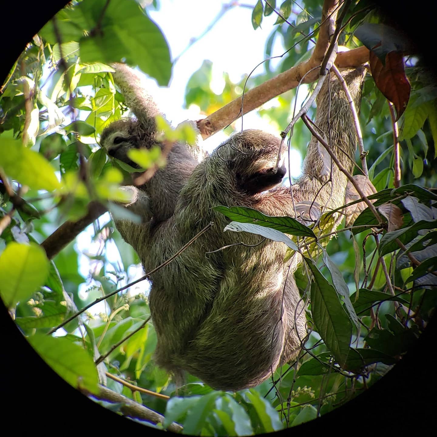 Home 241261547 4279810925466189 3164877706679308814 n