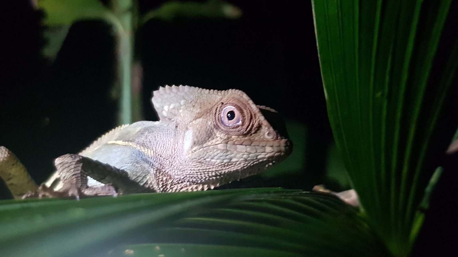 Home 20180509 201626