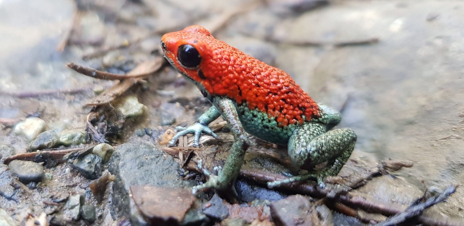 Home 20190110 160529