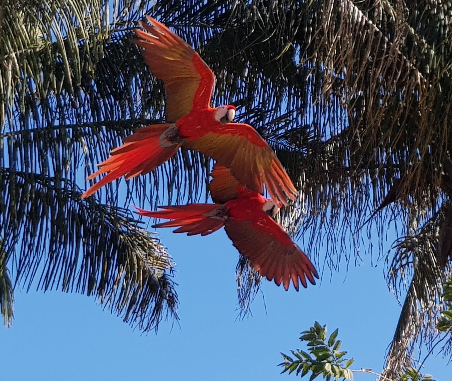 Home 20190207 150035