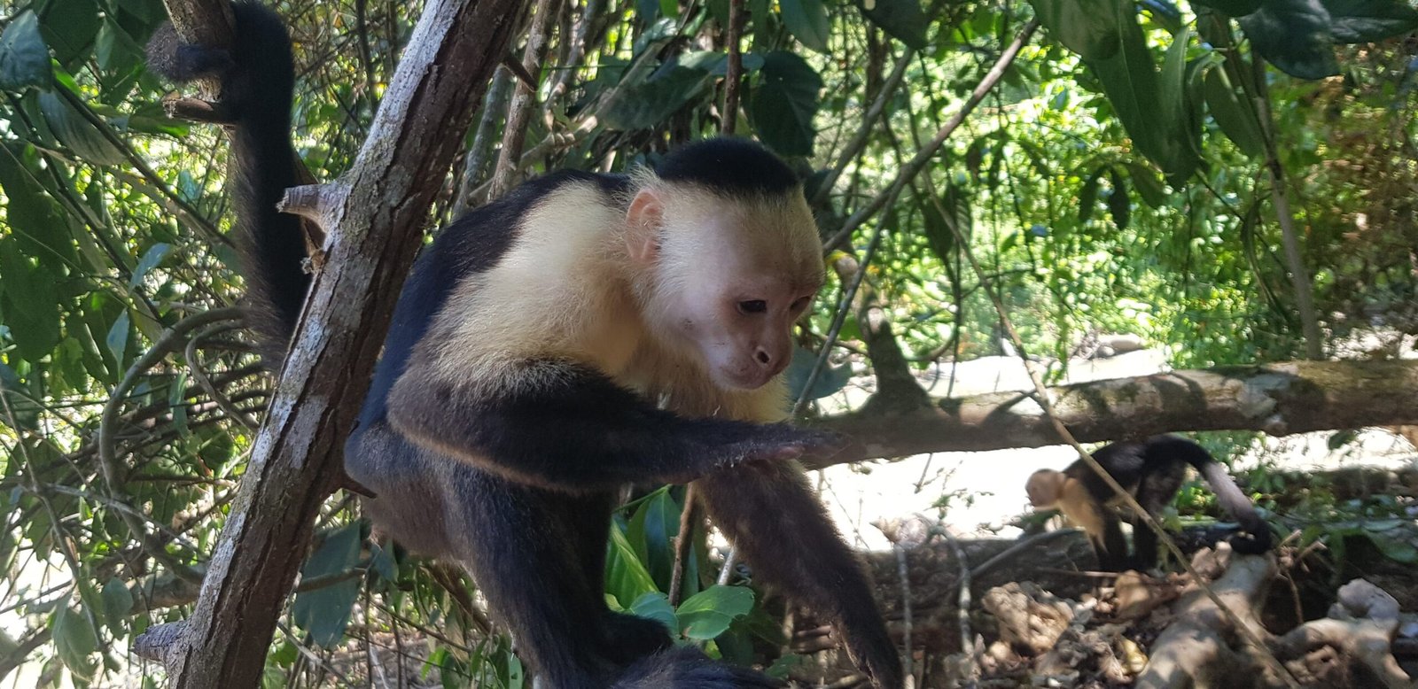 Home 20190301 114944