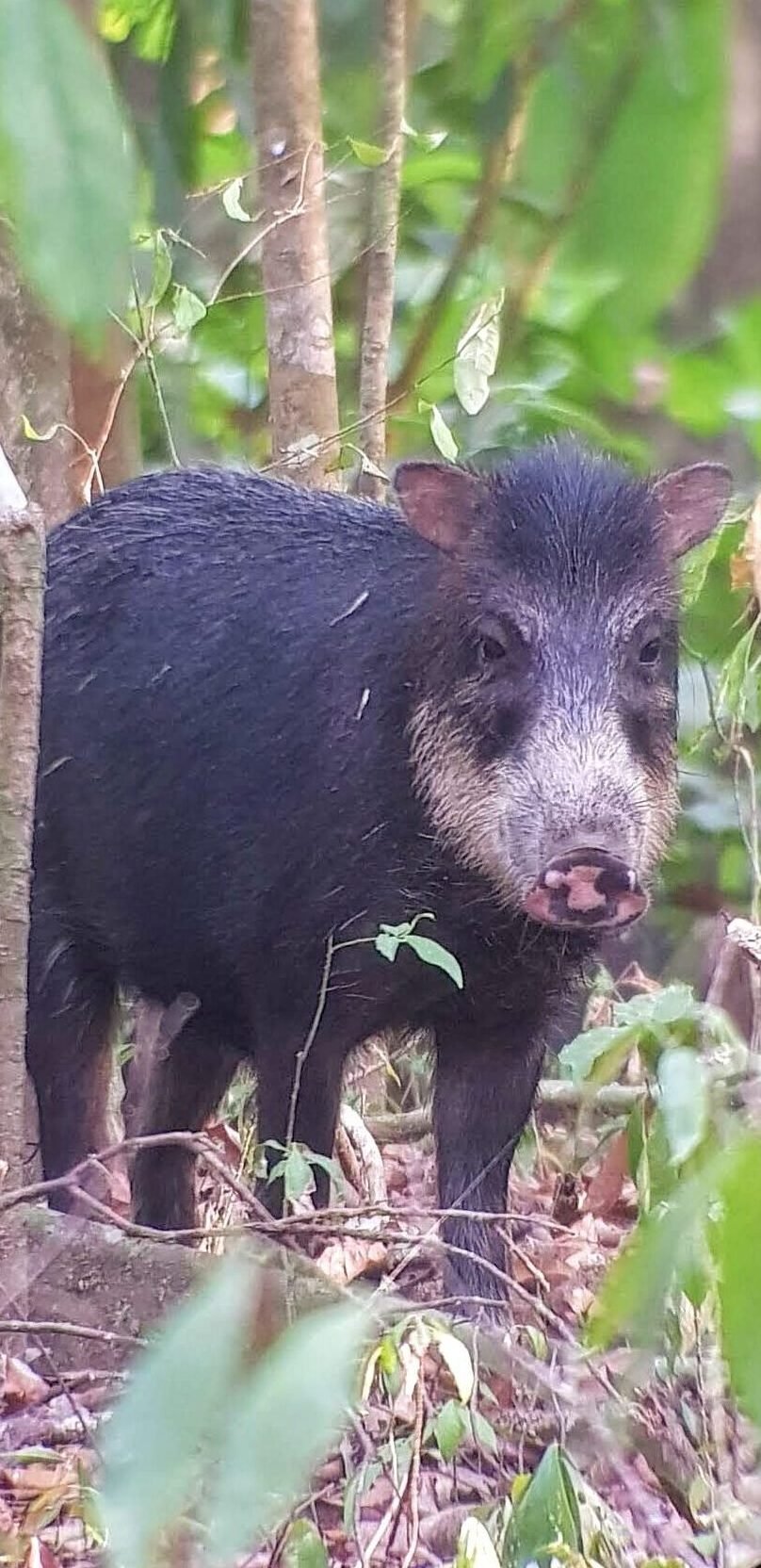 Home 20190304 071845