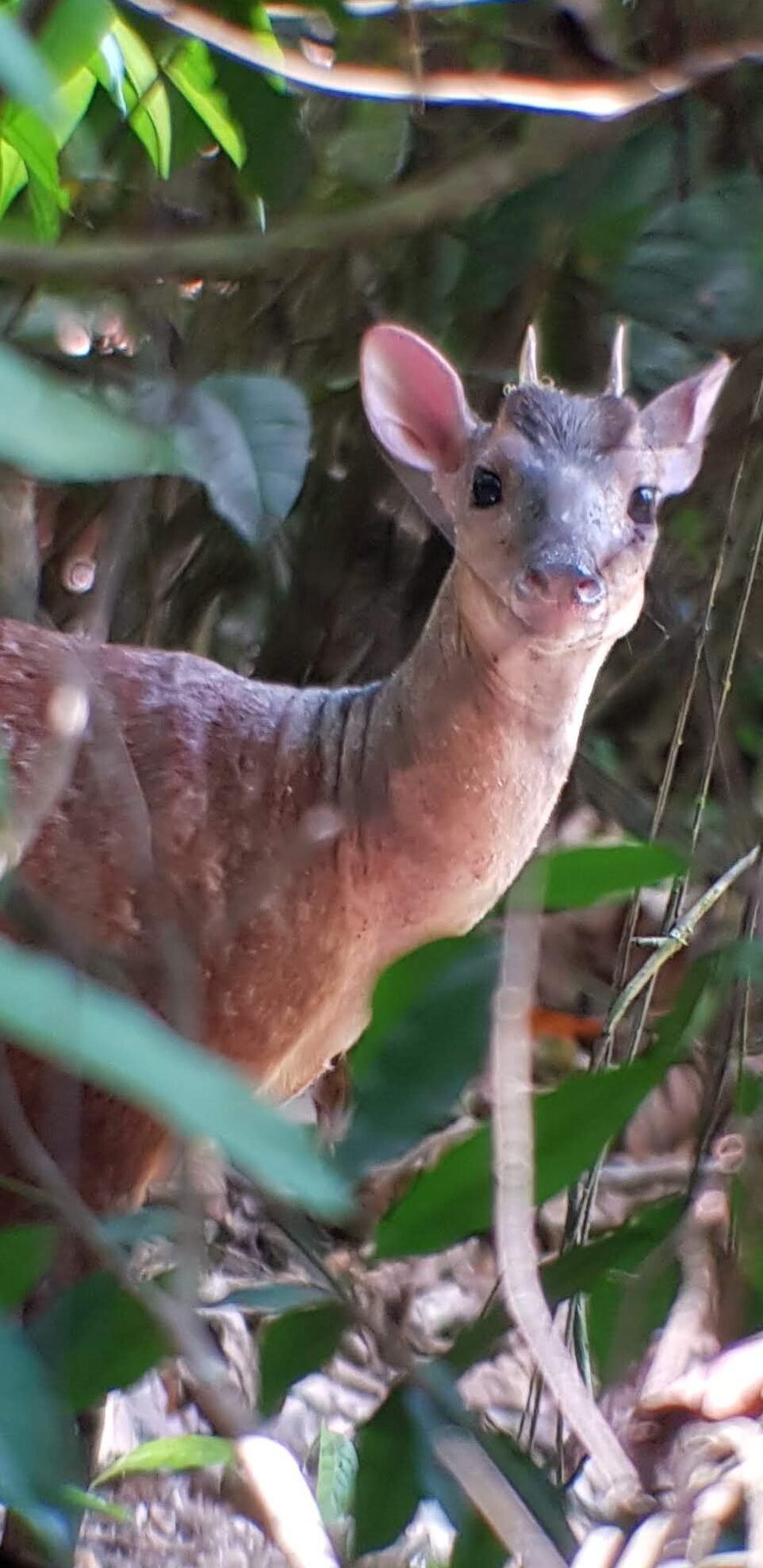 Home 20190324 104232