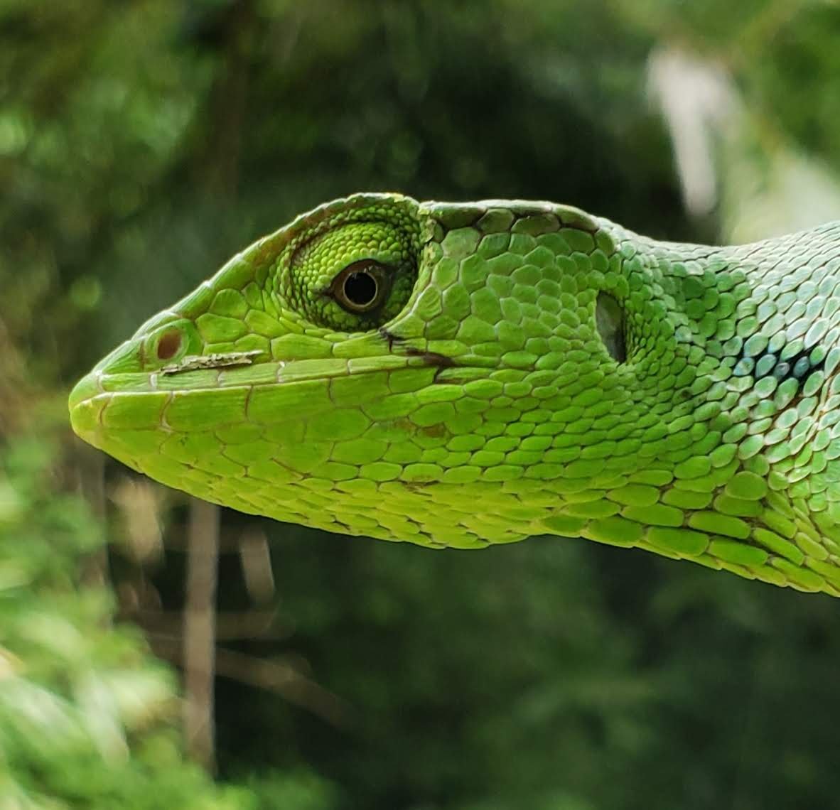 Home 20191015 144349