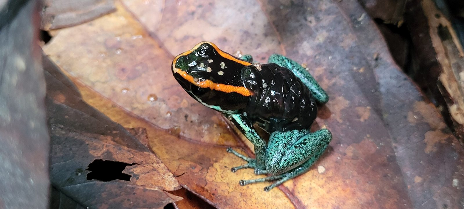 Home 20210621 122522