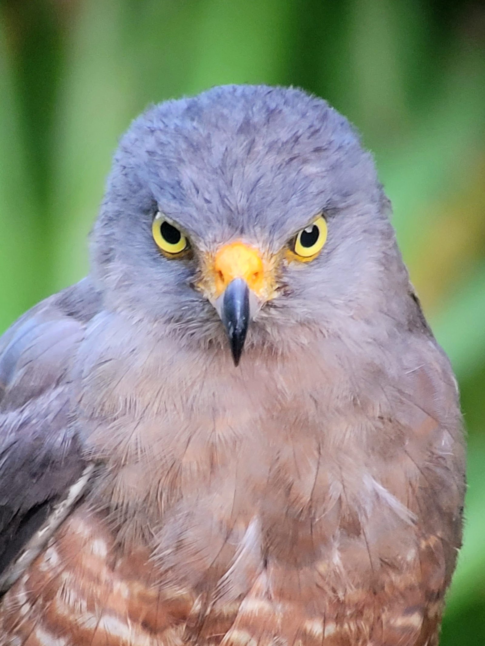 Home 20210720 052329