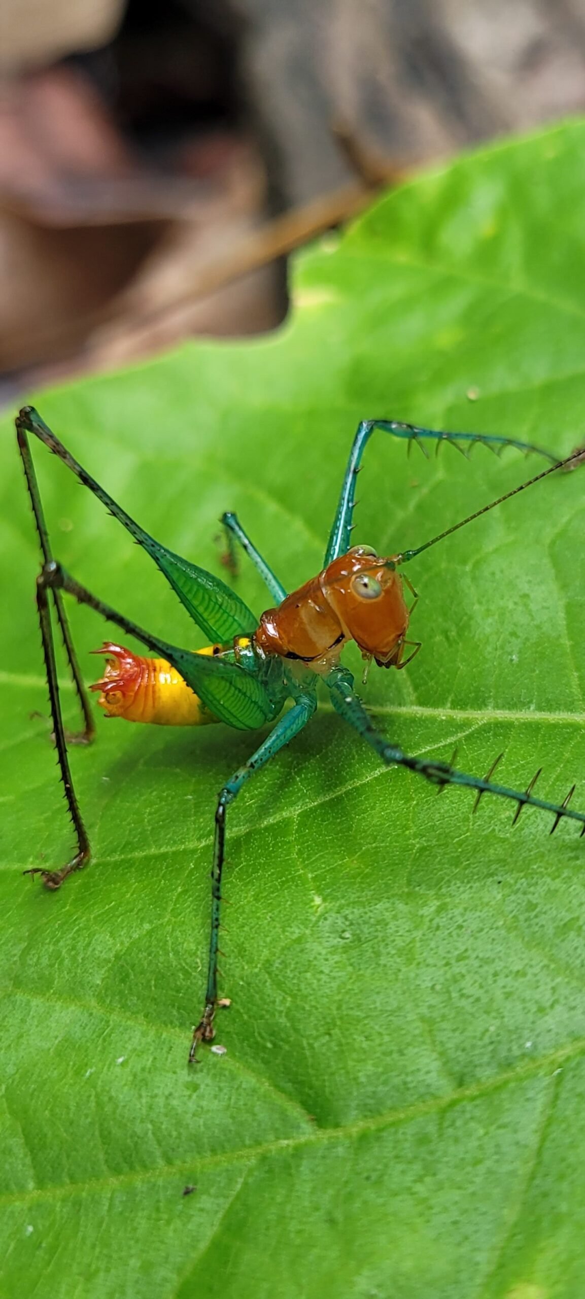 Home 20230416 103035