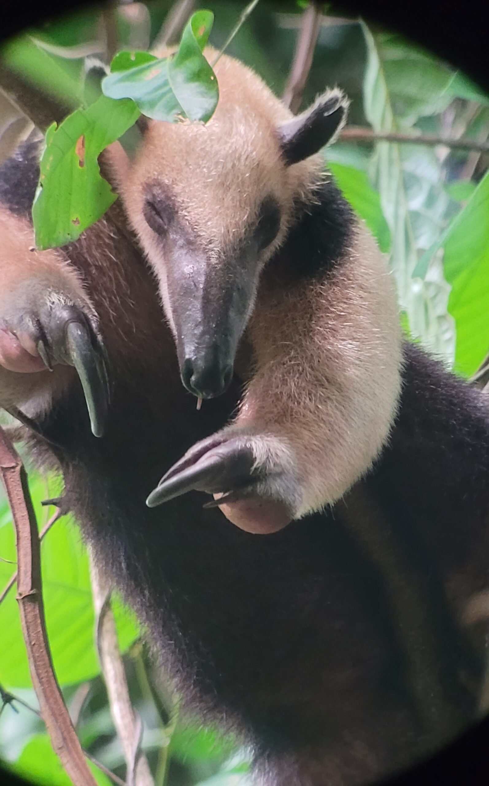 Home 20230712 170602