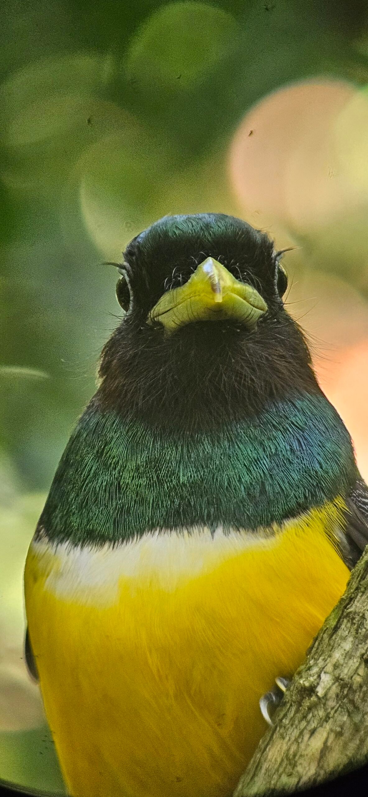 Home 20240210 153156