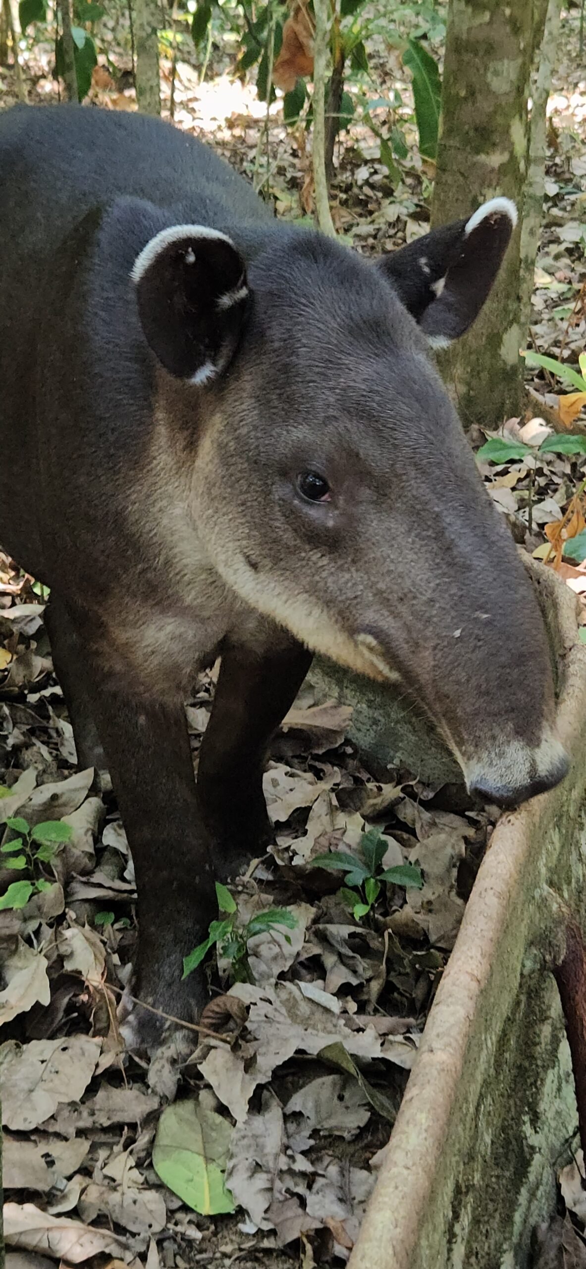 Home 20240311 122313