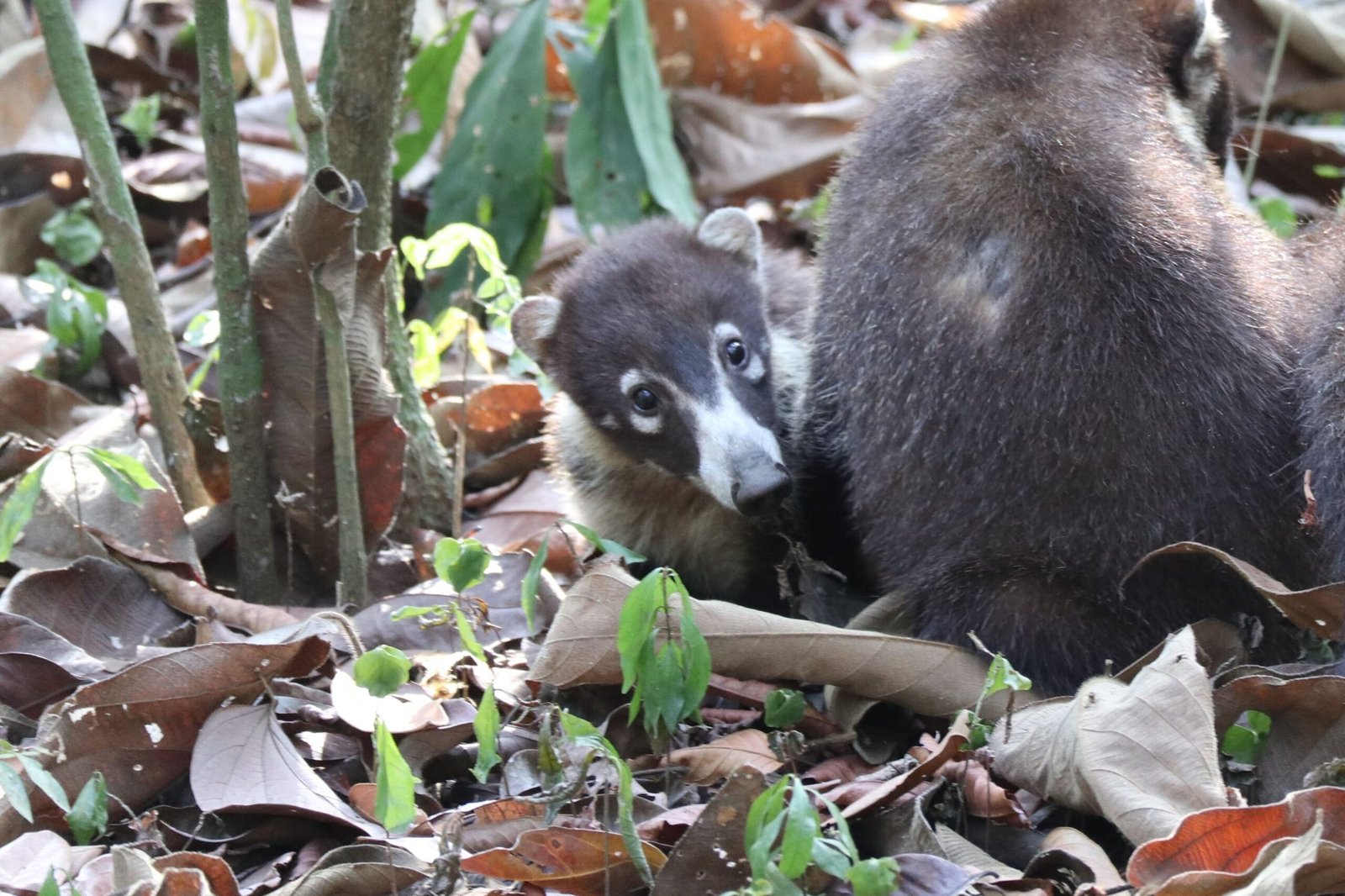 Home 2325901379919529990 img 3625