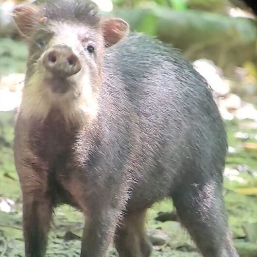 240178349 970031547120154 5522047421581819504 n