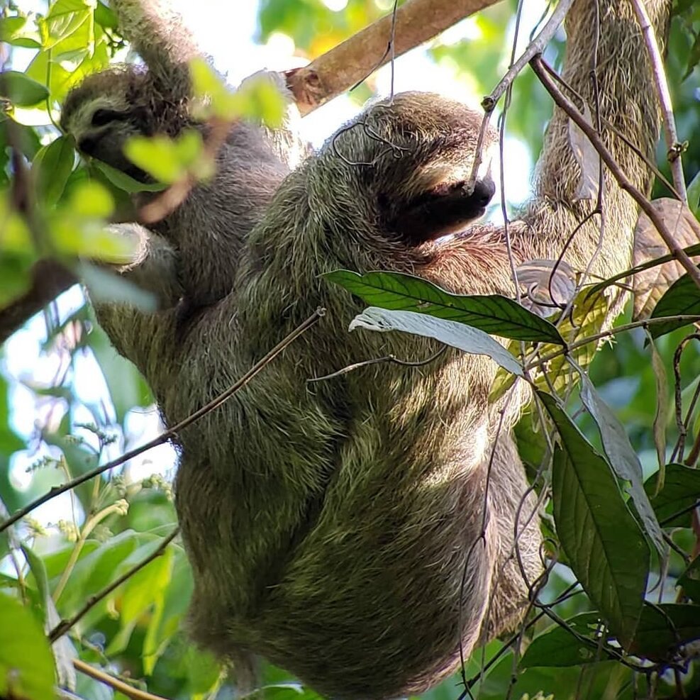 Home 241261547 4279810925466189 3164877706679308814 n