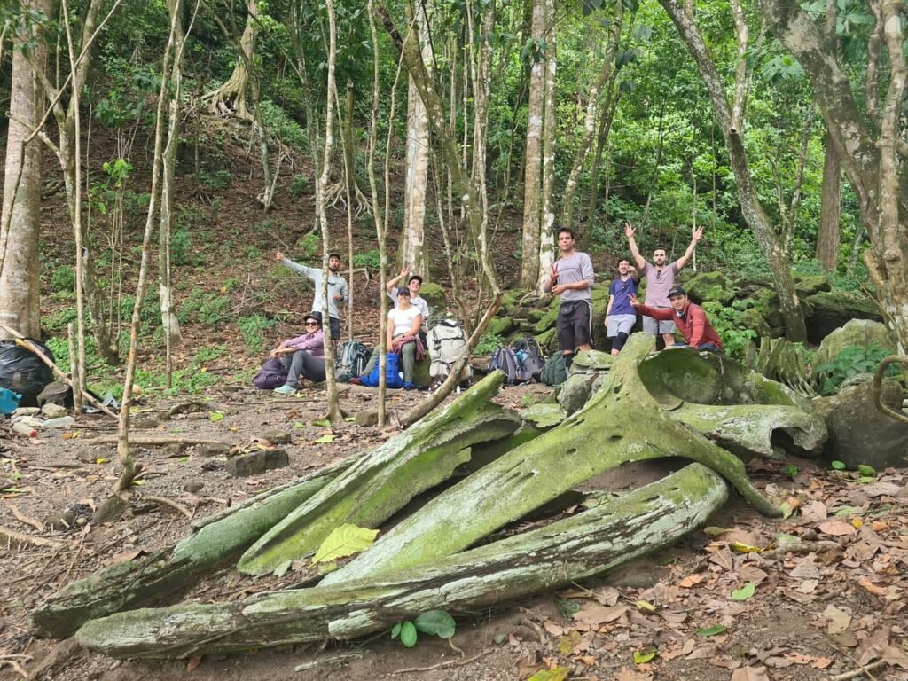 costa rica wild expeditions