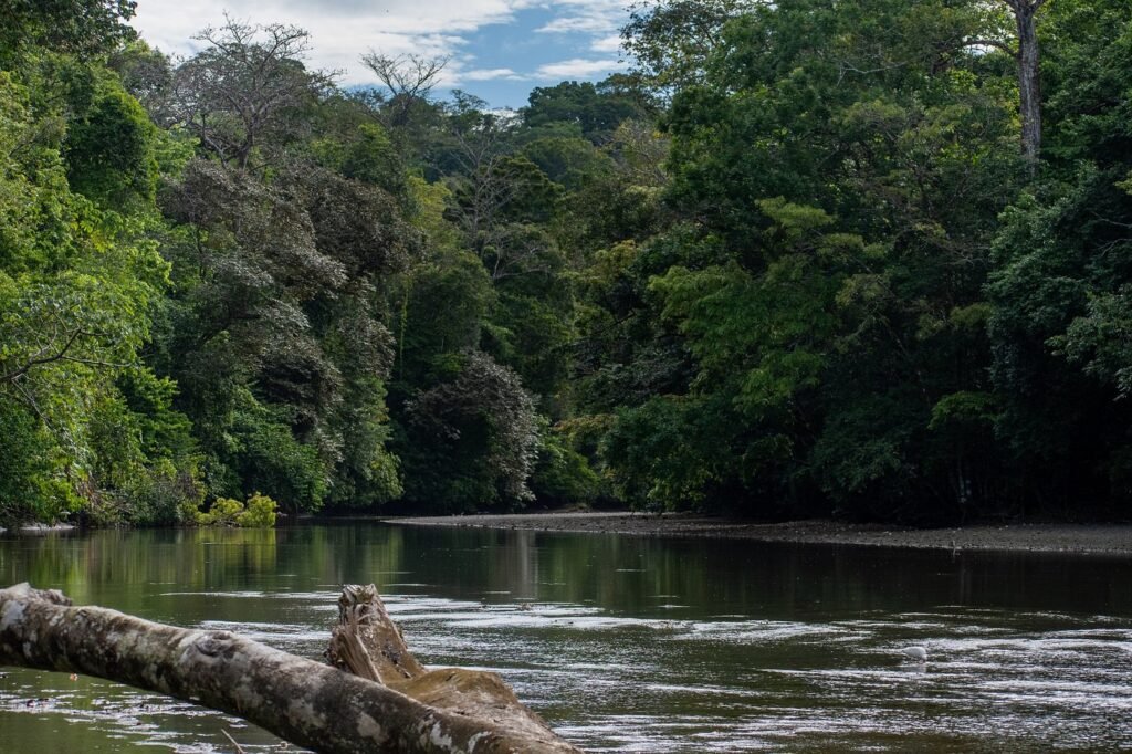 costa rica wild expeditions (2)