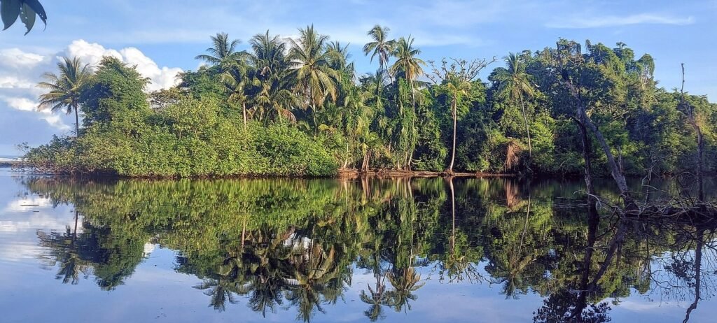 espejo tropical boca