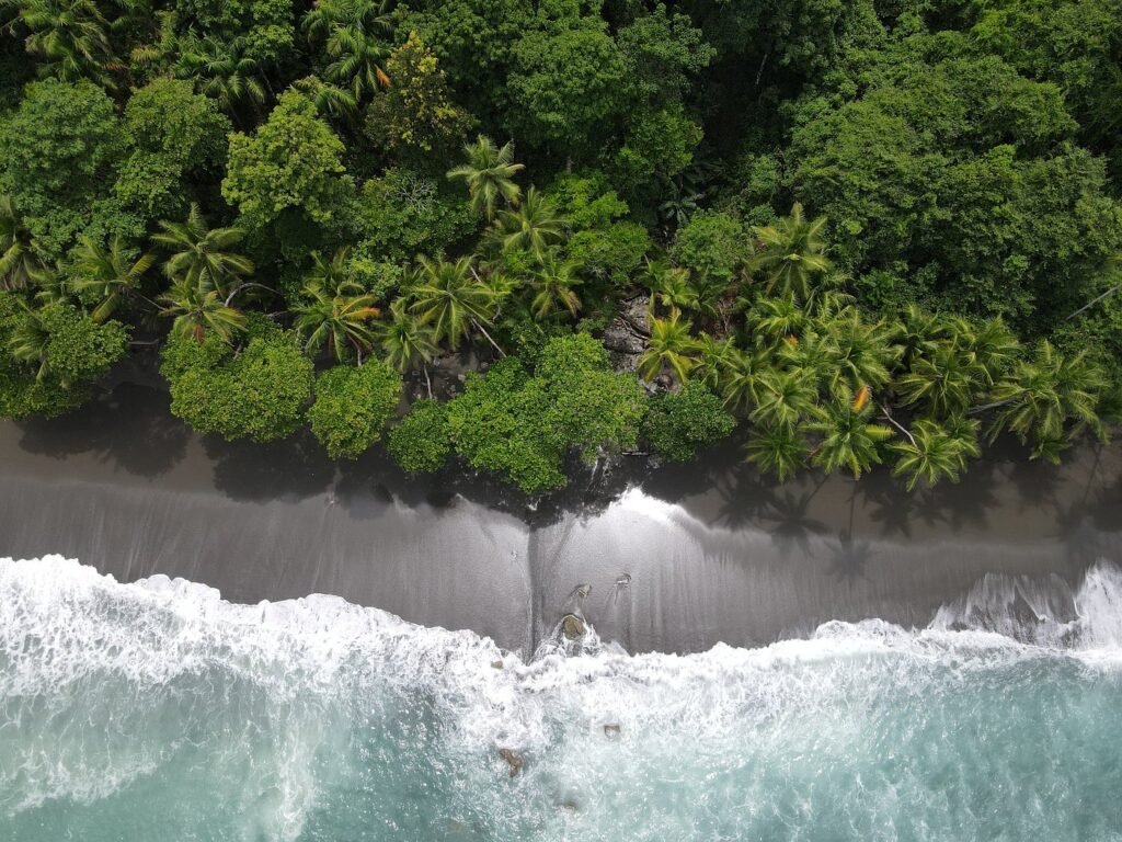 playa preciosa parque